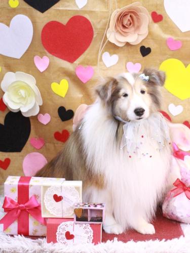 20230210カレンちゃん